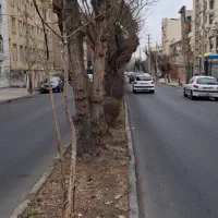 ویلایی-570-متر-شمالی-مهرویلا