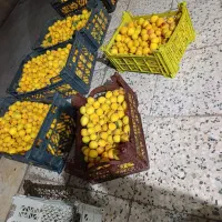قیصی چهار گنبد