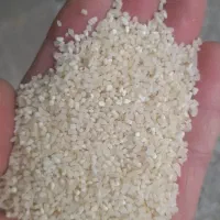 ریزدانه آردی هاشمی در گیلان