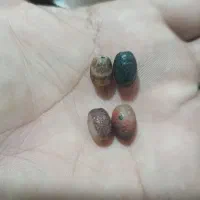 مهره|ابزارآلات|تربت جام, مطهری|دیوار