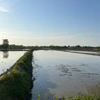زمین-کشاورزی-8200متر