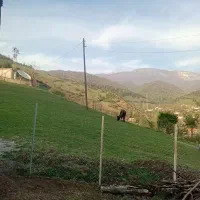 اجاره ویلایی روزانه