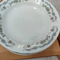 بشقاب مرجان دوست اصلا استفاده نشده