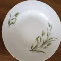 یک دست خورش گندمی ژاپن