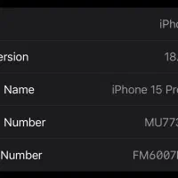 Iphone 15promax ریجستر شده تک سیم امارات|موبایل|تهران, گلستان (شهرک راه آهن)|دیوار