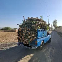 چوب خریده انواعه تخته تیر و درخت باغات و غیره|خدمات باغبانی و درختکاری|کمیجان, |دیوار