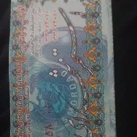 بلیت استخر ۵ مرداد