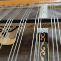 قانون حرفهای ترکیه ای استانبول|سازهای سنتی|تهران, بریانک|دیوار