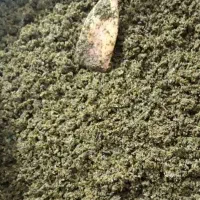 سبزی محلی ترش واش تازه