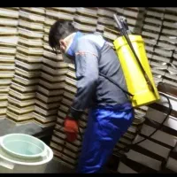 سم پاشی منازل و باغات فروت ست