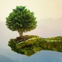 ترک اعتیاد۱۰۰درصدگیاهی بدون دردوخماری