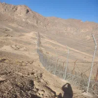 تولیدی فنس ، حصار باغی چشمه|عمده‌فروشی|سیرجان, |دیوار