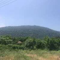 زمین تمام مسکونی پاسداران سرولات چابکسر|فروش زمین و ملک کلنگی|چابکسر, |دیوار
