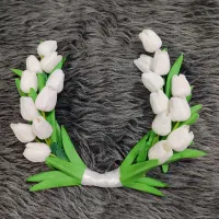 نمونه و خاص|ویولن|بندرعباس, |دیوار