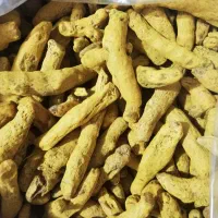 زردچوبه کیسه ای