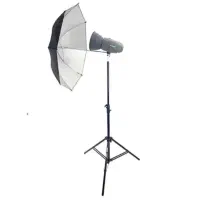 فلاش استودیویی ۳۰۰ژول s&s