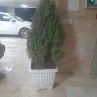تعداد وسایل منزل|حراج|کرج, کوی مهر|دیوار