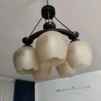لوستر درحد نو