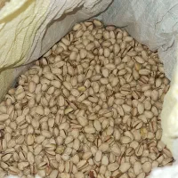 پسته کله قوچی امسال|خوردنی و آشامیدنی|تهران, مسعودیه|دیوار