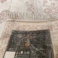 فرش|فرش|بردسکن, |دیوار