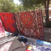 قالیچه|فرش|دوگنبدان, |دیوار