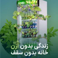 یخچال و فریزر و یخساز کینو(فروش ویژه)|فروشگاه و مغازه|تهران, گمرک|دیوار
