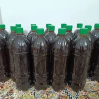 شیره انگور