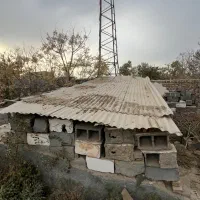 سقف شیروانی اماده|مصالح و تجهیزات ساختمان|ری, شهرری|دیوار