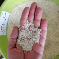 برنج سرگل|خوردنی و آشامیدنی|کرج, کیانمهر|دیوار