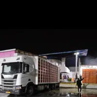 نیرو کشتارگاه