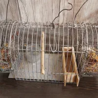 قفس .تله.قفس جفتی قناری.تله دو درب سالم