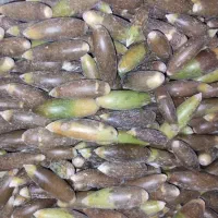 بالوط|خوردنی و آشامیدنی|کوهمره, |دیوار