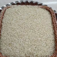 برنج محلی کشت اول