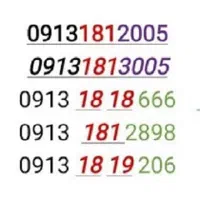 09131812005