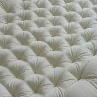 تشک(نالی)