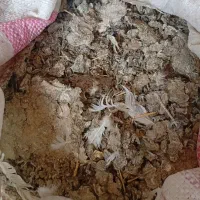 کود کفتر تناژی