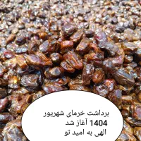 خرما کبکاب درجه یک|عمده‌فروشی|شیراز, فرگاز|دیوار