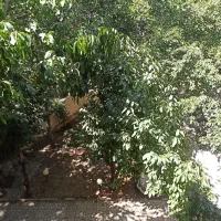 ۳۱۰ متر ویلایی مسکونی کردان کوهسار خوروین