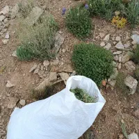 آذربه|خوردنی و آشامیدنی|رزن, |دیوار