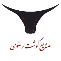 استخدام ویزیتور