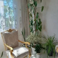 تولیدی کاور مبل هفت