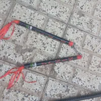 نانچیکو و سانچیکو پلاستیکی