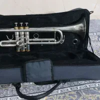 ترومپت|سازهای بادی|شاهین‌شهر, شهرک گلدیس|دیوار