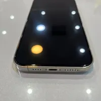 اپل iPhone 12 Pro Max با حافظهٔ ۲۵۶ گیگابایت|موبایل|تهران, تهرانپارس غربی|دیوار