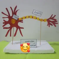 کاردستی دانش اموزی