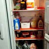 یخجال دوقلوی سوزان