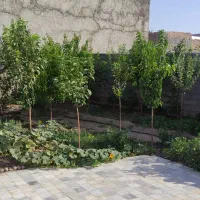 اجاره کوتاه مدت ویلا باغ در روستا|اجارهٔ کوتاهمدت ویلا و باغ|دلبران, |دیوار