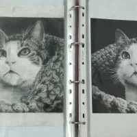 سفارش نقاشی سیاه قلم|تابلو، نقاشی، عکس|قم, زنبیل آباد|دیوار