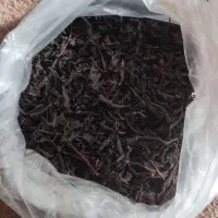 چای لاهیجان|خوردنی و آشامیدنی|دالخانی, |دیوار