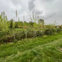 ۶۱۳ متر زمین داخل طرح هادی در اطراف لاهیجان|فروش زمین و ملک کلنگی|لاهیجان, آهندان|دیوار